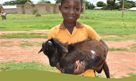 buy a goat for a family